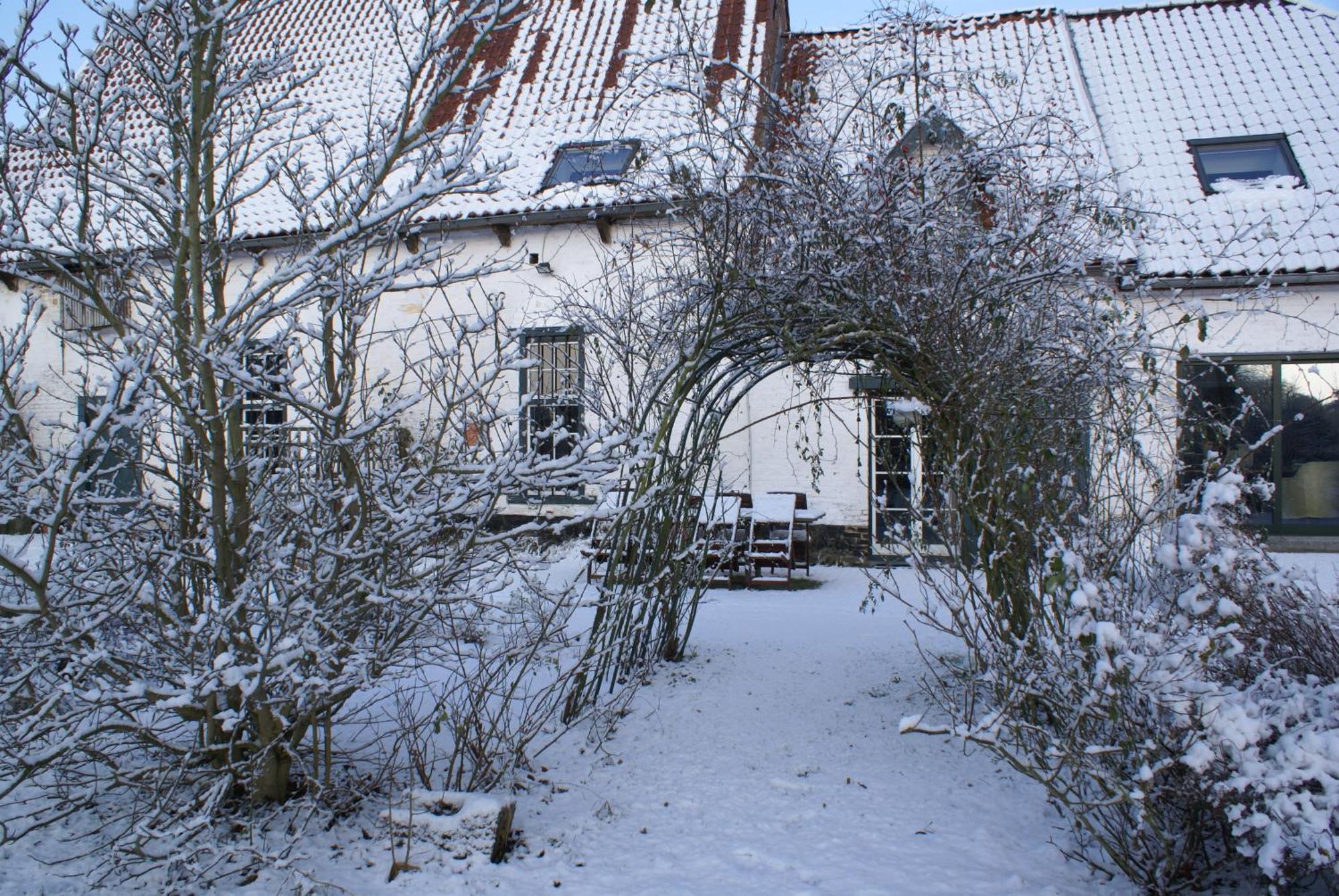 B&B De Metstermolen Sint-Truiden Exterior photo